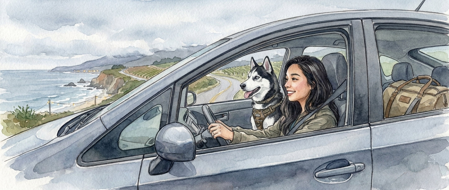 A Gloomy Coast Trip with Zuko